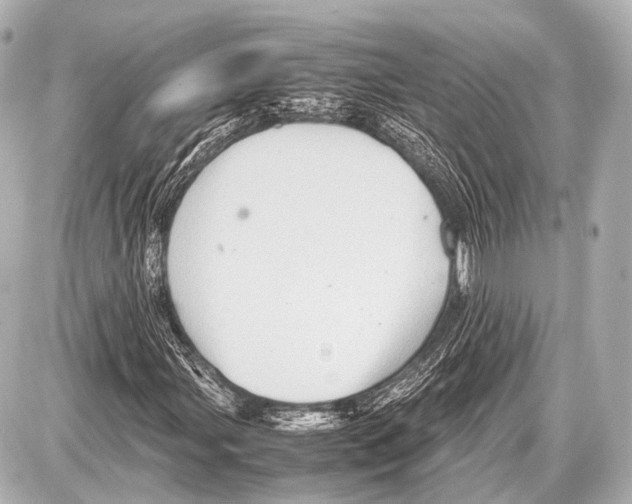 X0000087011107200705141824