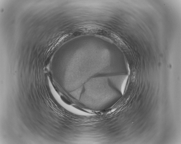 X0000087011108200705141824