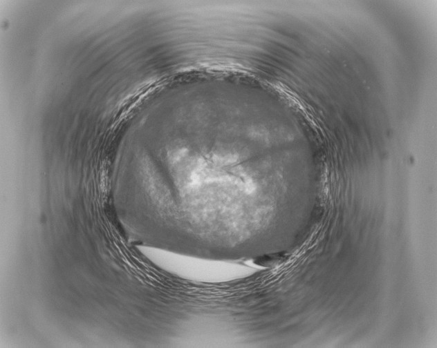 X0000087011110200705141824