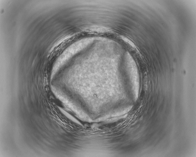 X0000087011112200705141824