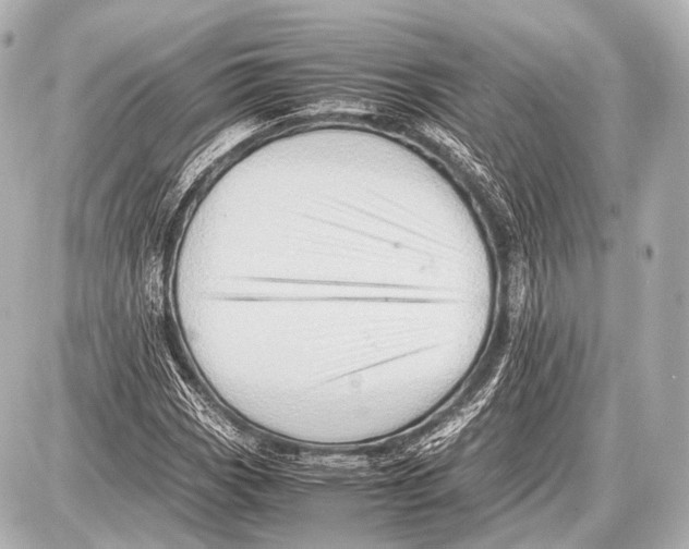 X0000087011113200705141824