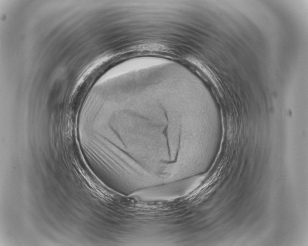 X0000087011115200705141824