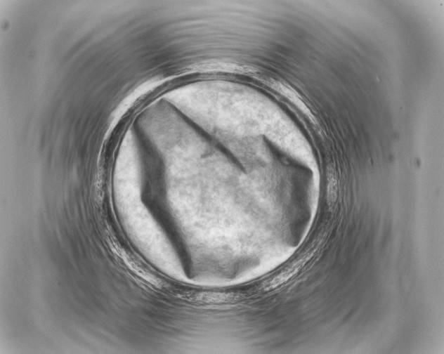 X0000087011116200705141824