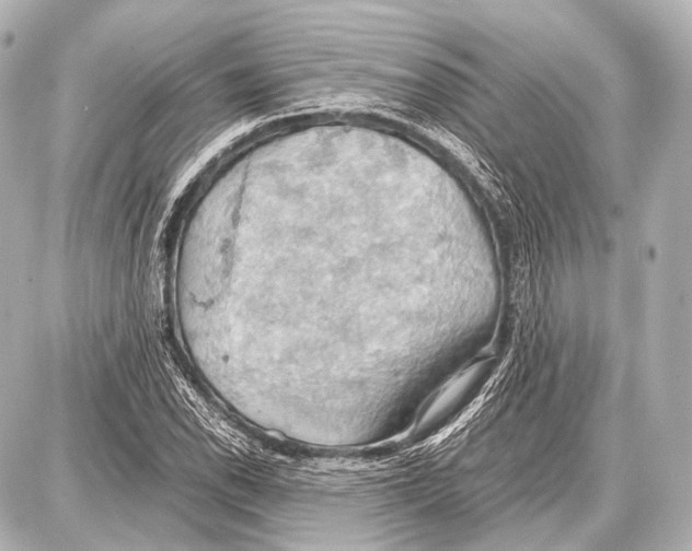 X0000087011118200705141824