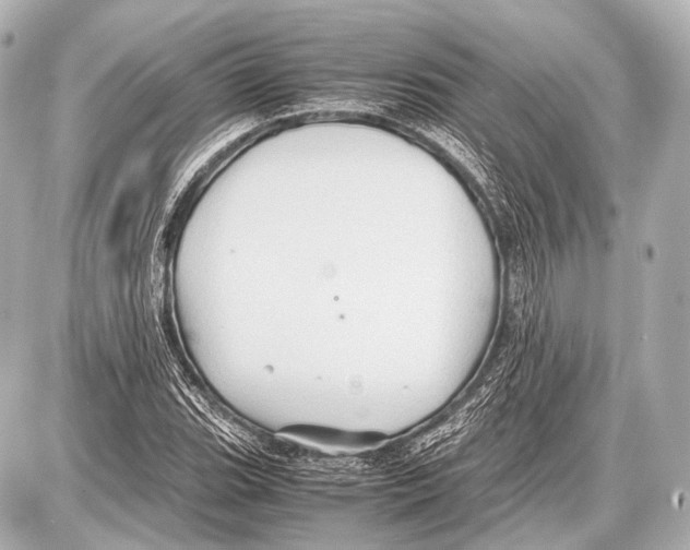 X0000087011119200705141824