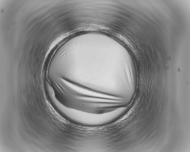 X0000087011122200705141824