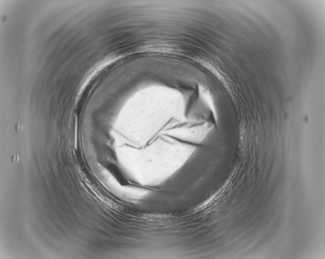 X0000087011123200705141824