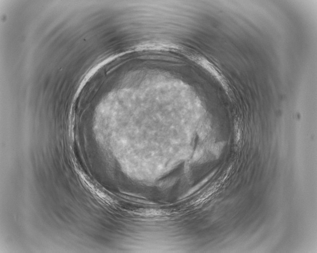 X0000087011124200705141824