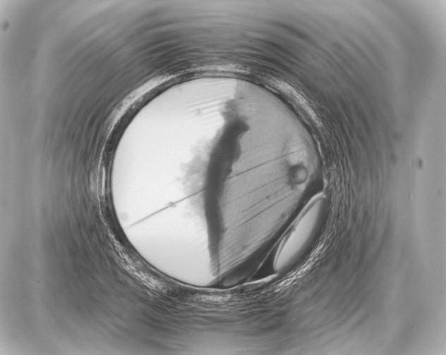 X0000087011125200705141824