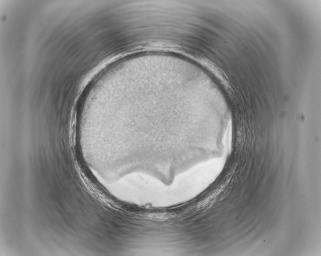 X0000087011126200705141824