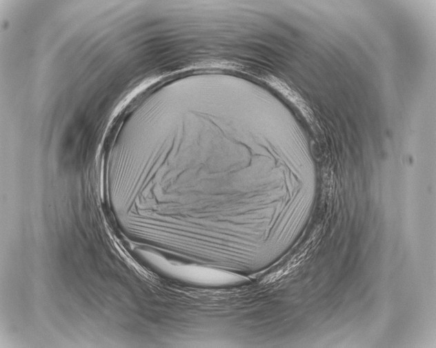 X0000087011127200705141824