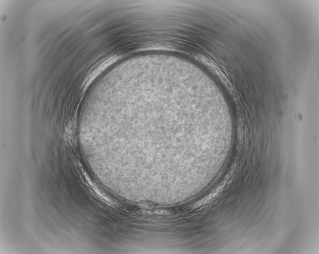 X0000087011129200705141824