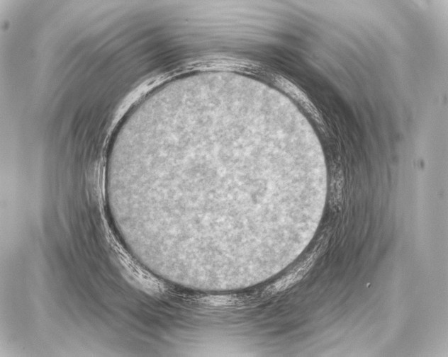 X0000087011130200705141824