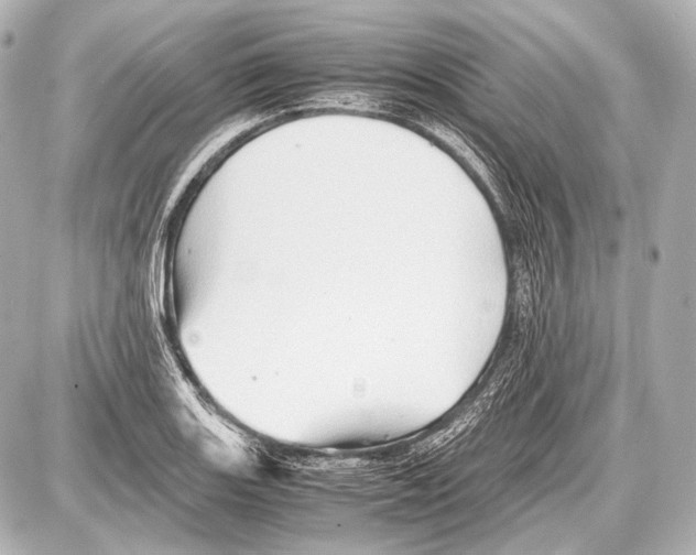 X0000087011131200705141824