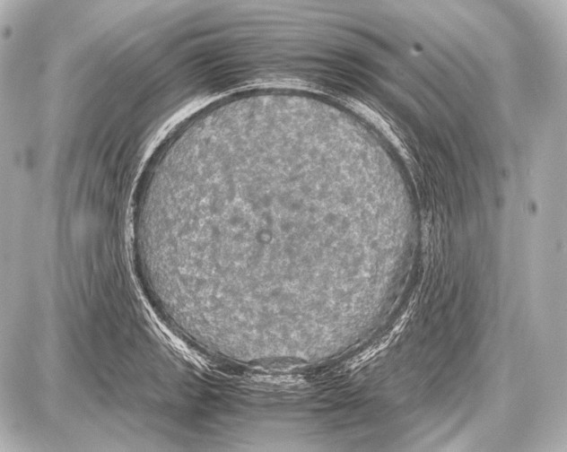 X0000087011133200705141825