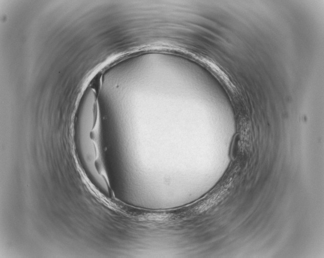 X0000087011134200705141825