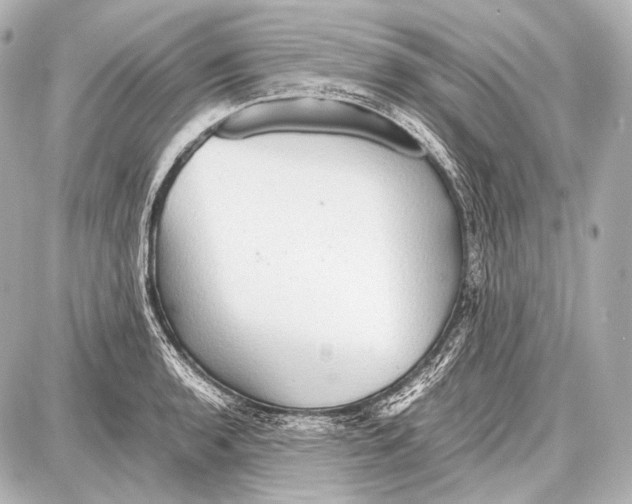 X0000087011136200705141825