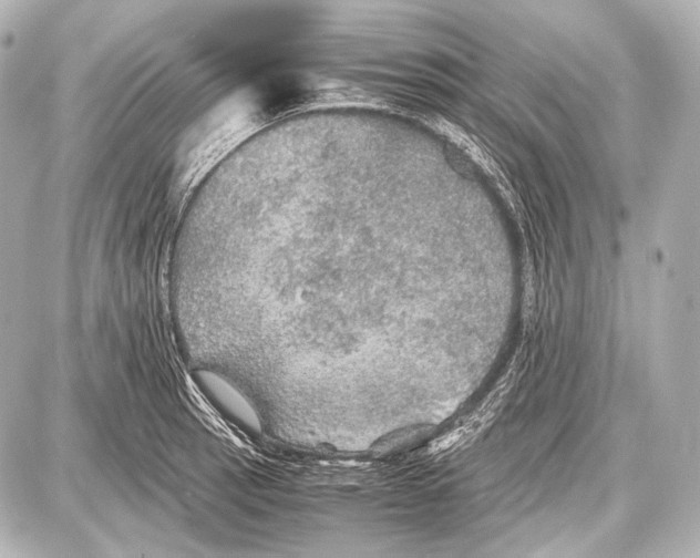 X0000087011137200705141825