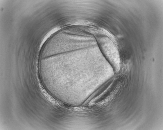 X0000087011138200705141825