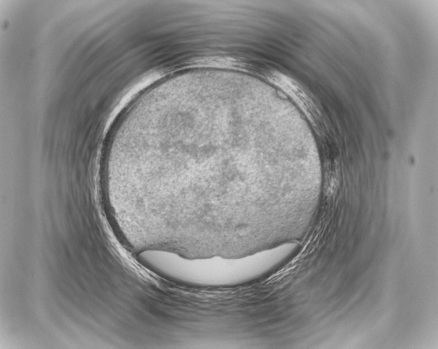 X0000087011139200705141825