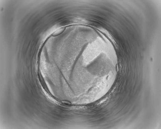 X0000087011143200705141825