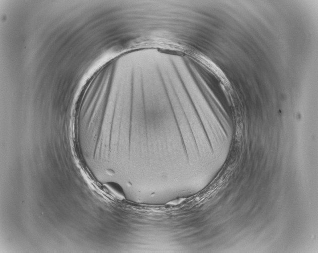 X0000087011144200705141825