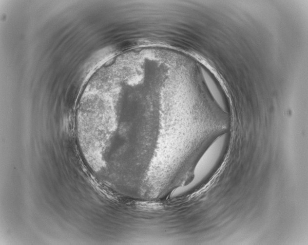 X0000087011145200705141825