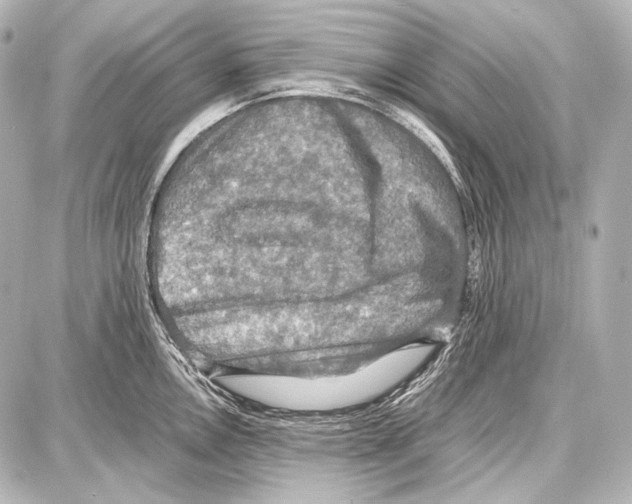 X0000087011146200705141825