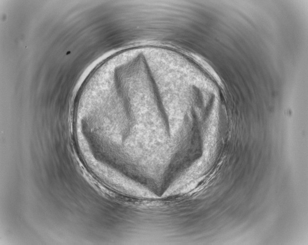 X0000087011148200705141825