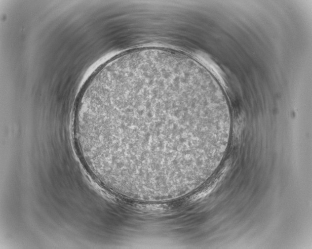 X0000087011149200705141825