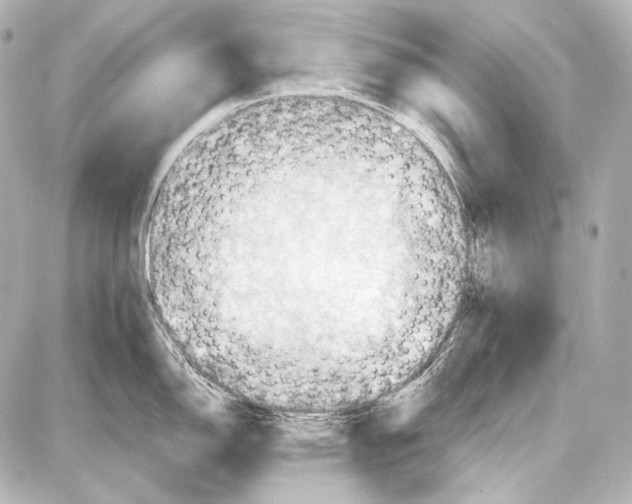 X0000087011150200705141825