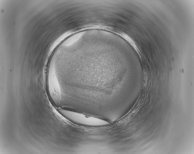 X0000087011151200705141825