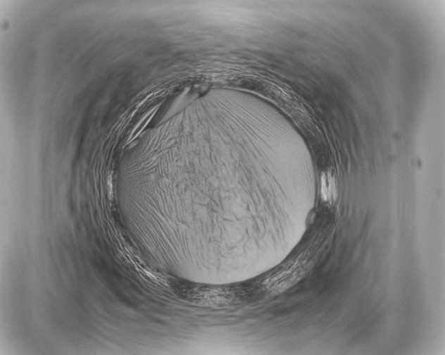 X0000087011155200705141824