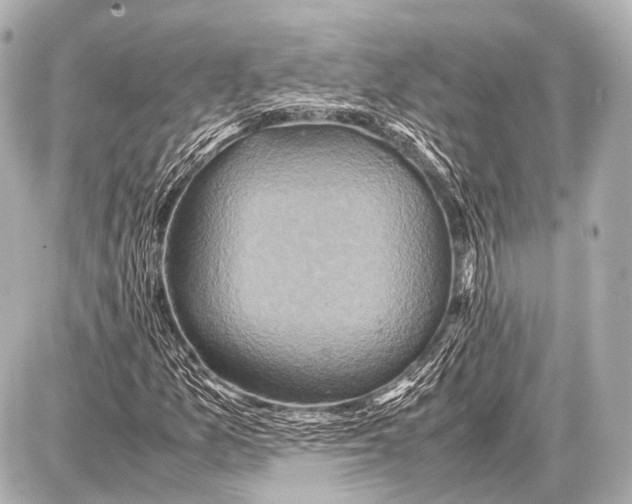 X0000087011157200705141824