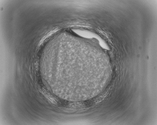 X0000087011159200705141824