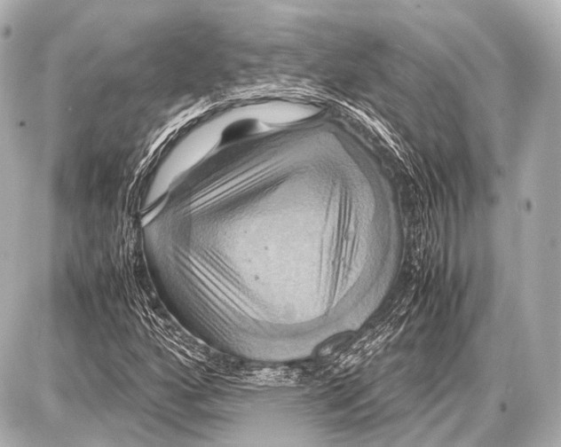 X0000087011160200705141824