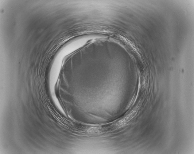 X0000087011161200705141824