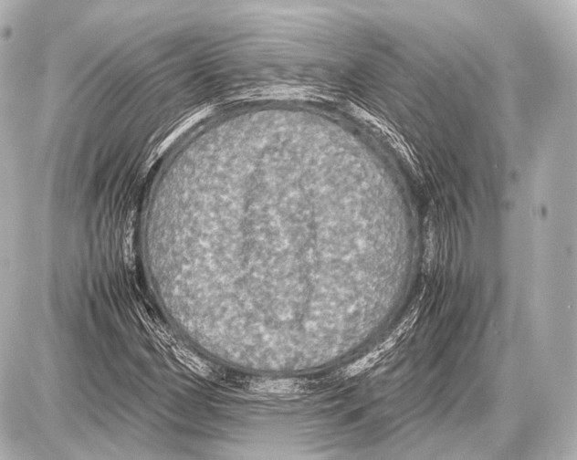 X0000087011162200705141824