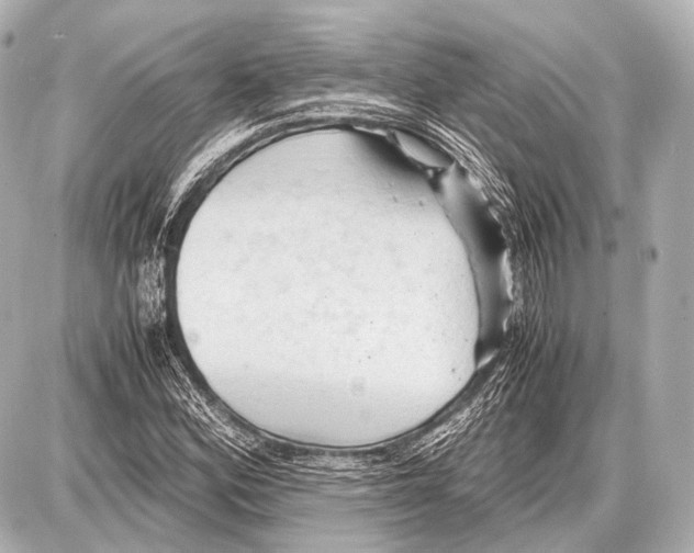 X0000087011164200705141824