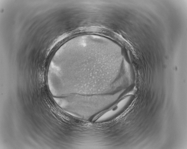 X0000087011166200705141824