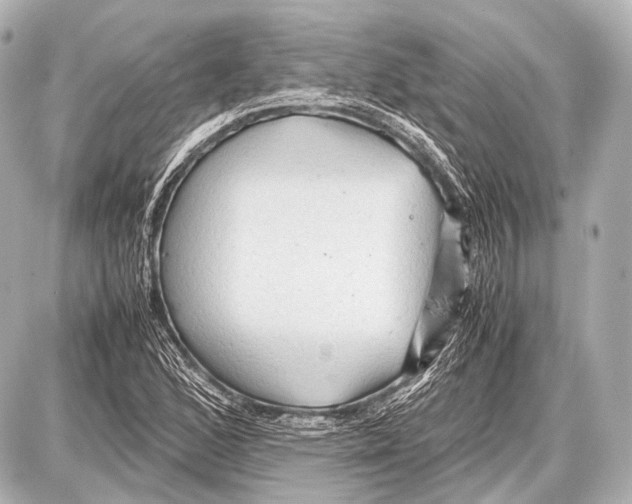 X0000087011168200705141824