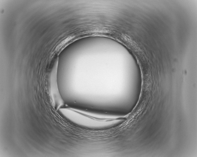 X0000087011169200705141824