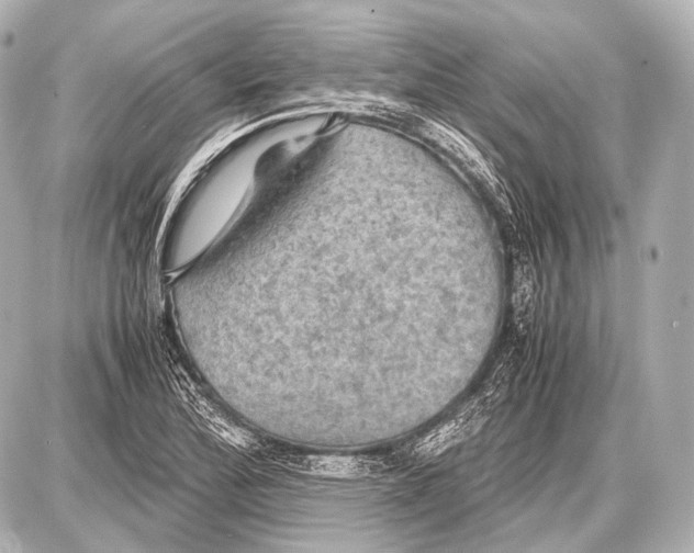 X0000087011172200705141824