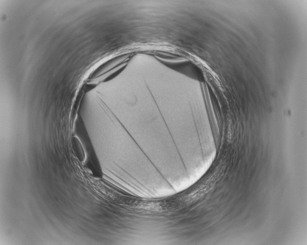 X0000087011174200705141824