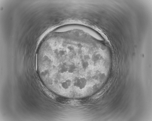 X0000087011175200705141824