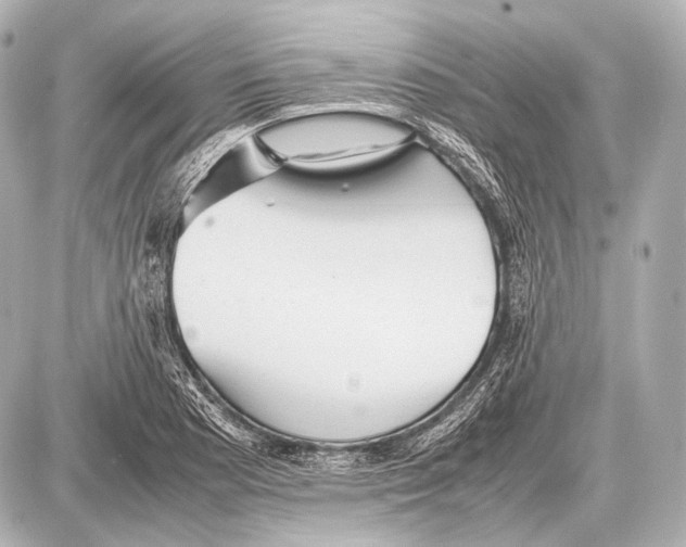 X0000087011177200705141824