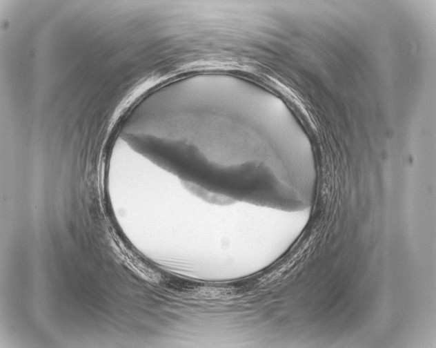 X0000087011179200705141824