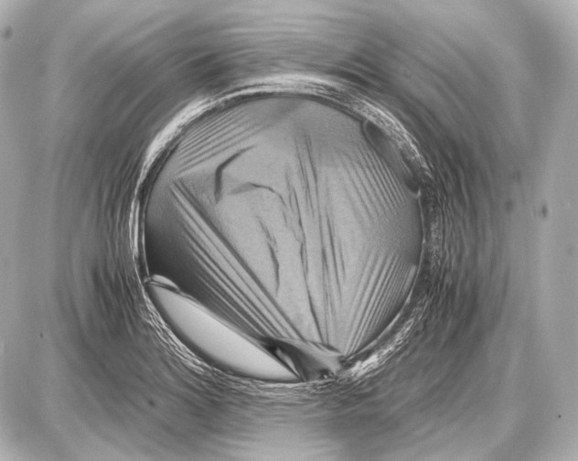 X0000087011180200705141824