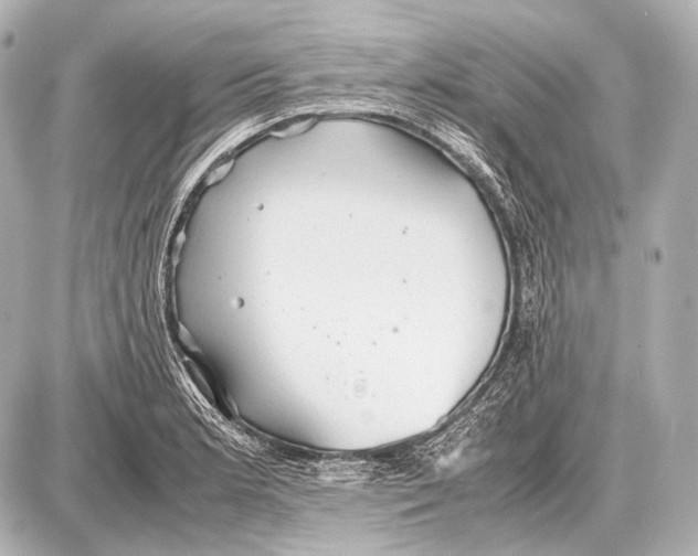 X0000087011181200705141824