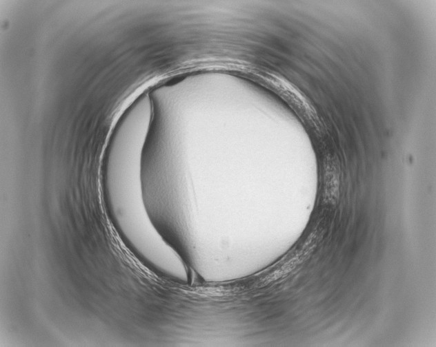 X0000087011182200705141824